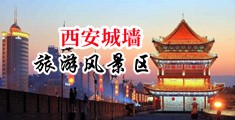 少妇大吊肏中国陕西-西安城墙旅游风景区